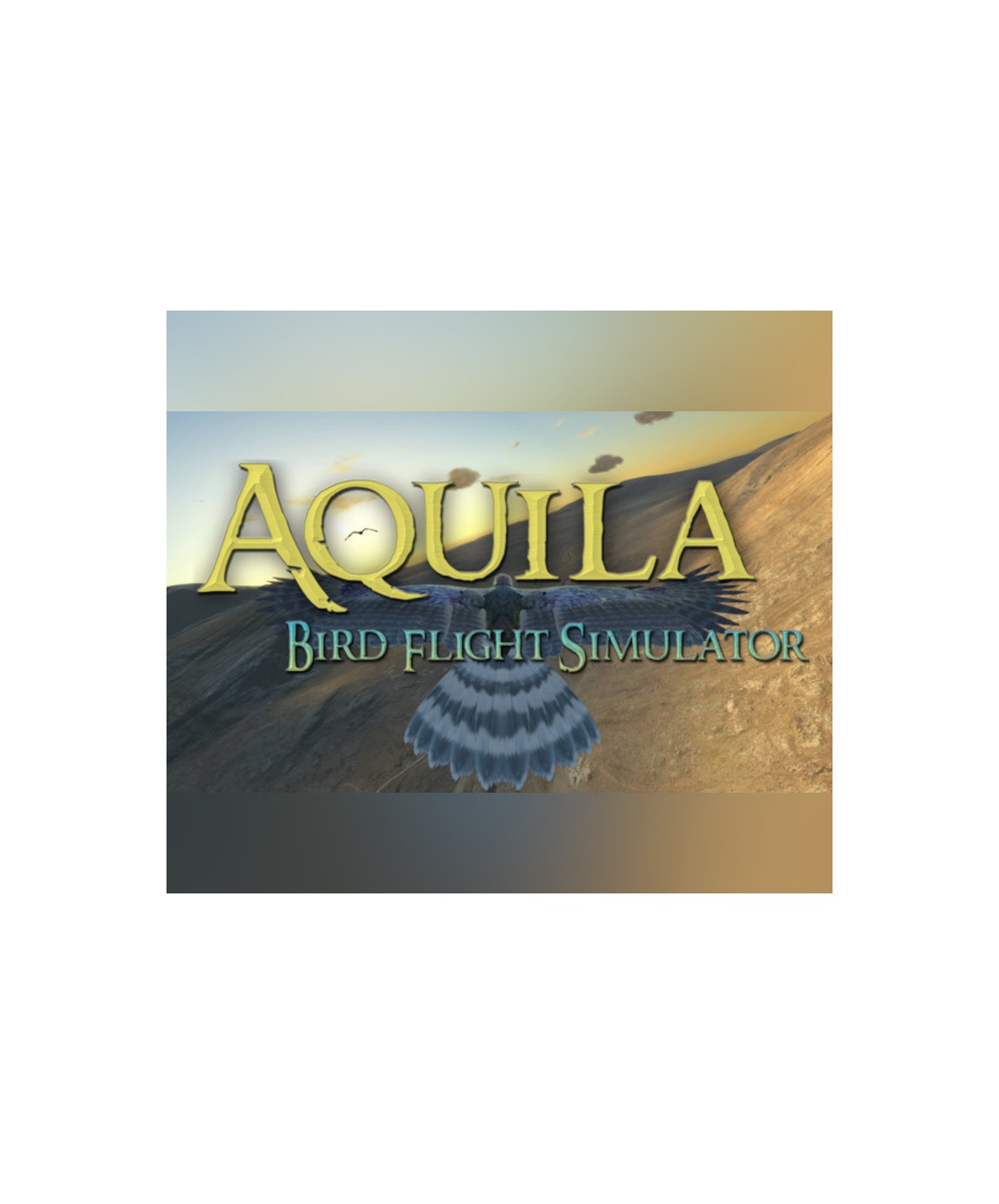 Aquila Bird Flight Simulator Steam Key EUROPE